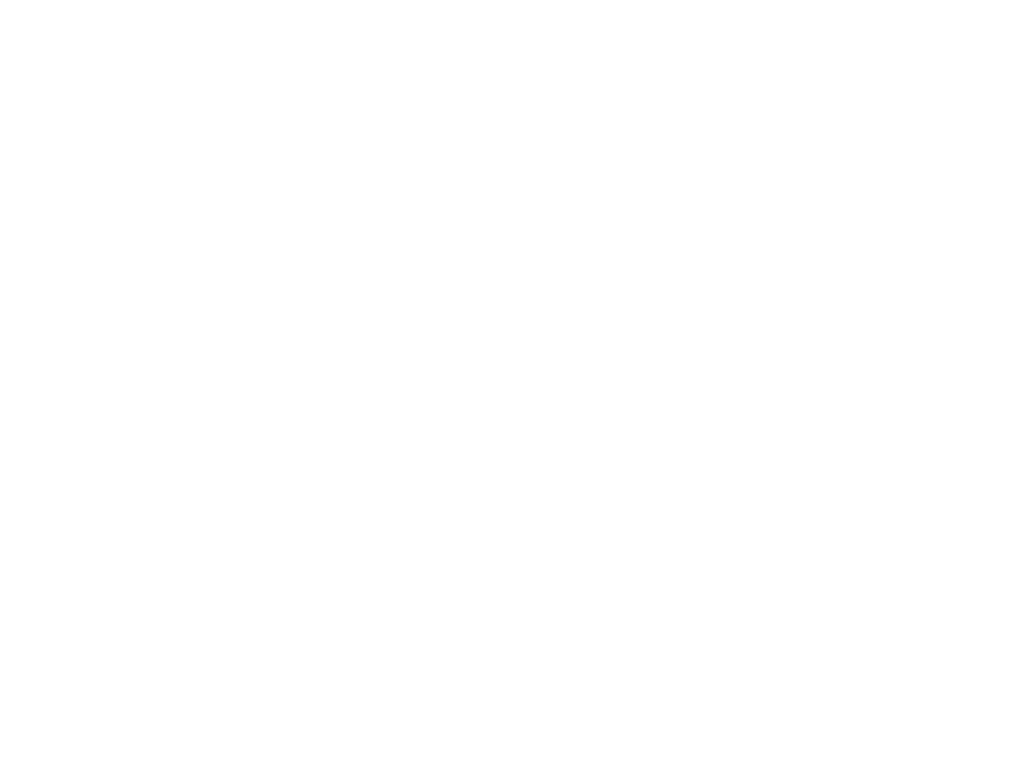 Werner Rio Design Barra